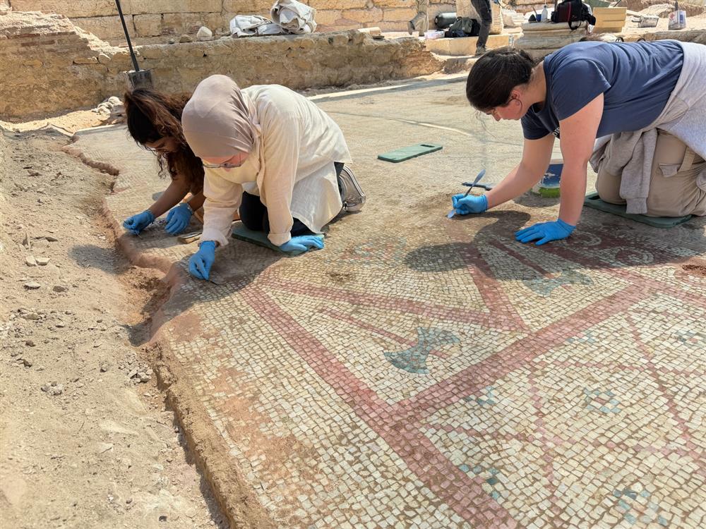 POMPEIOPOLIS’TE BİNLERCE YILLIK MİRAS GÜN IŞIĞINA KAVUŞTU! 105 METREKARELİK MOZAİK ORTAYA ÇIKARILDI