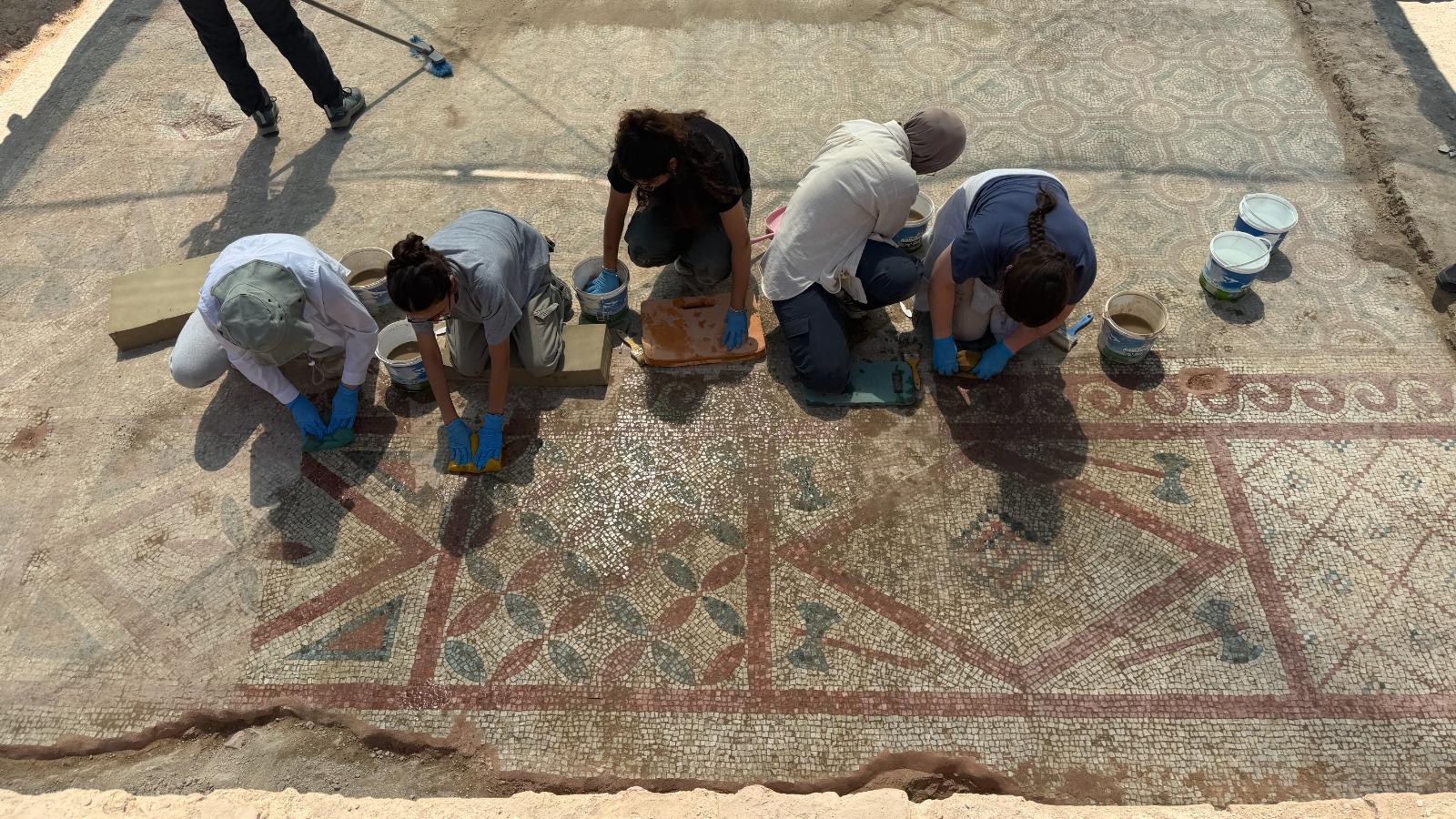 POMPEIOPOLIS’TE BİNLERCE YILLIK MİRAS GÜN IŞIĞINA KAVUŞTU! 105 METREKARELİK MOZAİK ORTAYA ÇIKARILDI